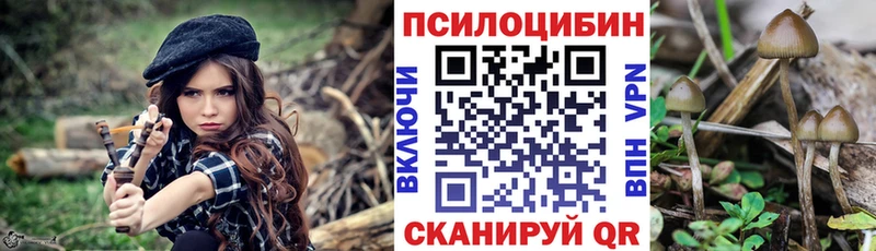 Псилоцибиновые грибы GOLDEN TEACHER  Кисловодск 