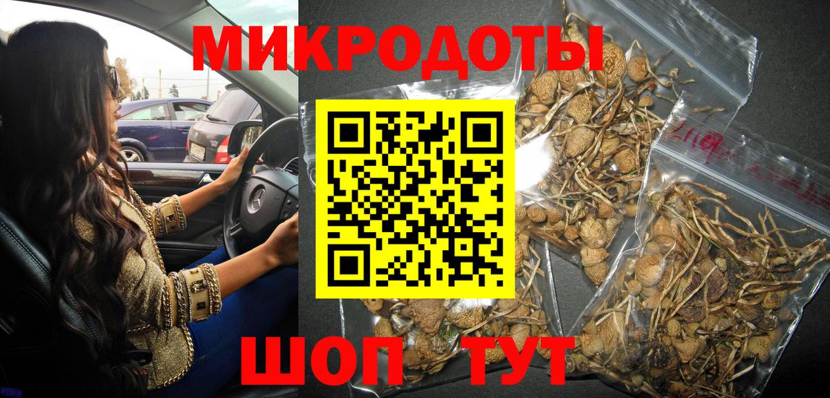 Галлюциногенные грибы Magic Shrooms Кисловодск