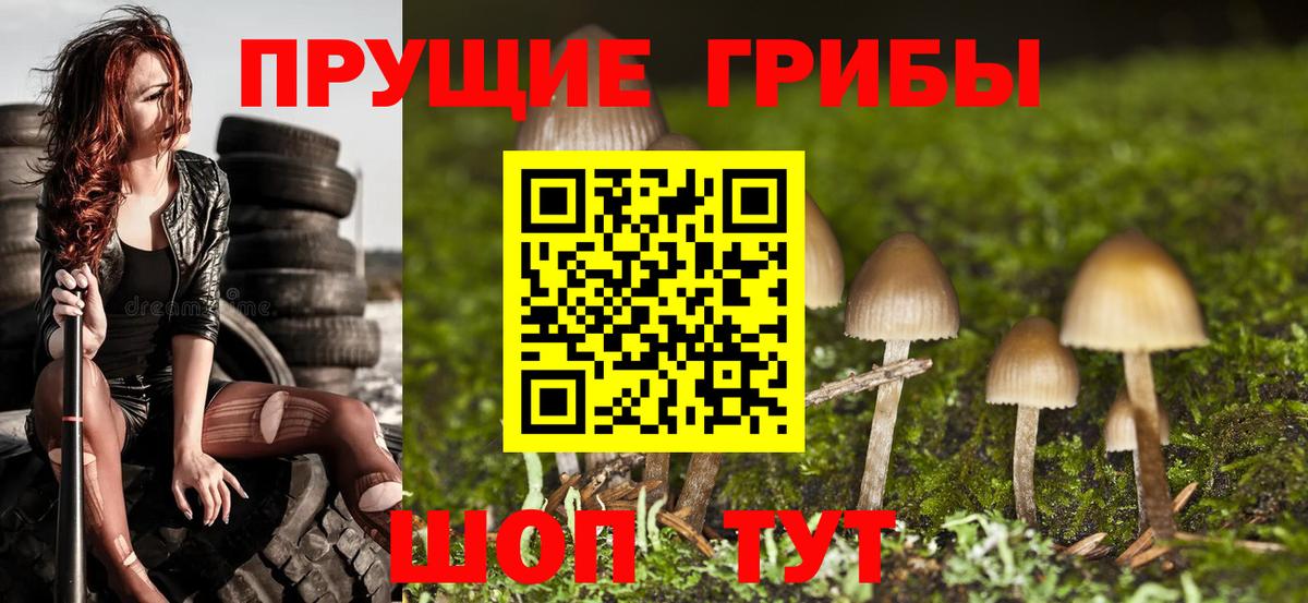 Псилоцибиновые грибы мухоморы  даркнет сайт  Кисловодск  Вход с VPN 